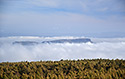 Zschirnstein - hlavn odkaz