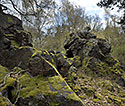Vrovka - hlavn odkaz