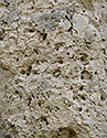 Bioturbace - hlavn odkaz