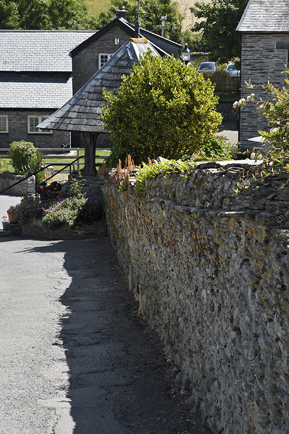 Mortehoe - vt formt