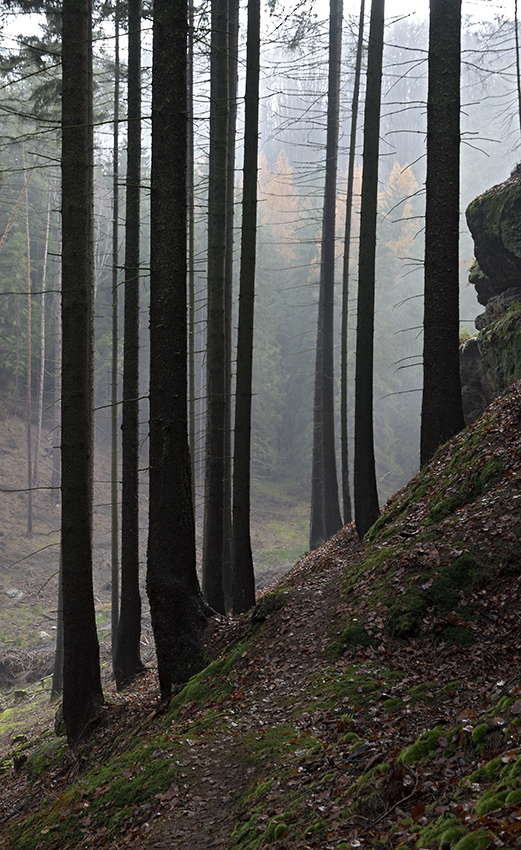 Rno ve skalch - vt formt