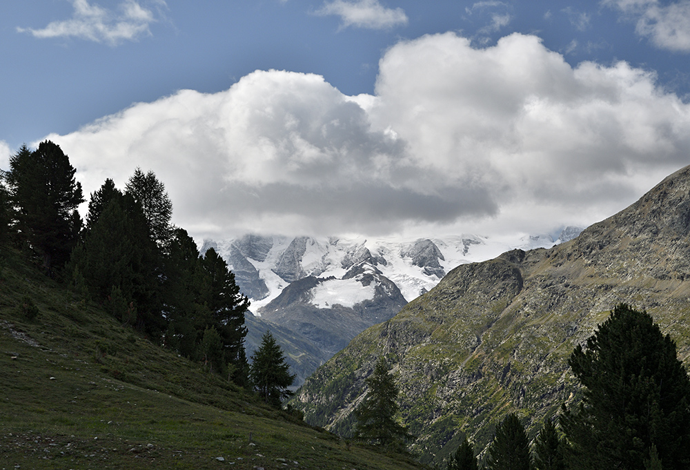 Bernina v zvoji - vt formt