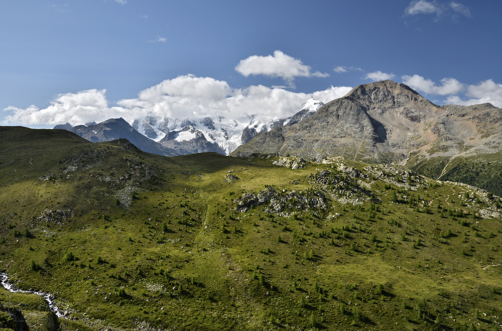 Bernina v zvoji - vt formt