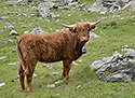 Bejk - hlavn odkaz