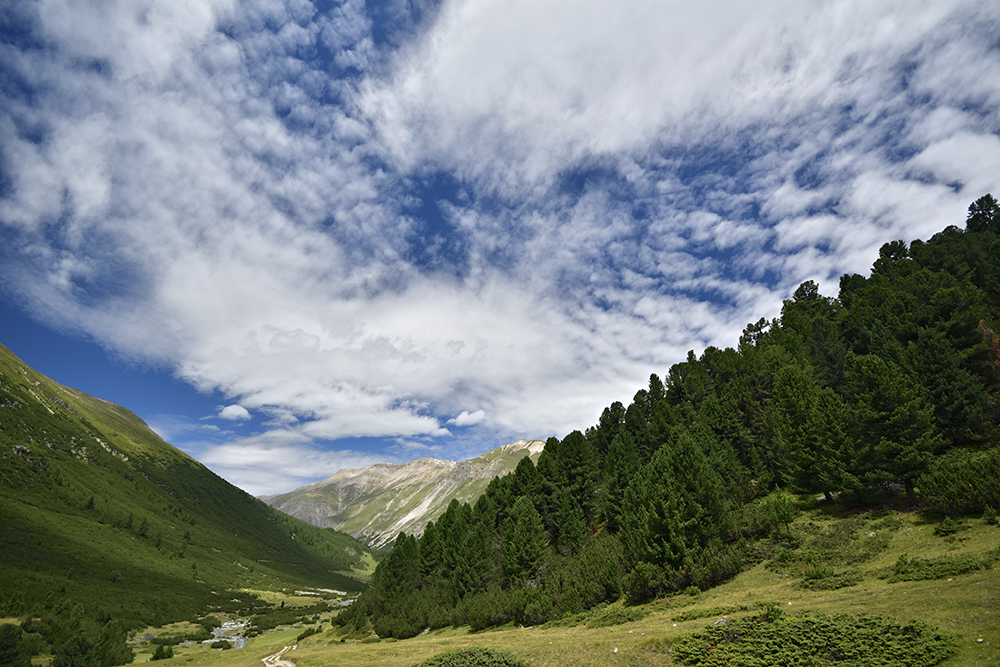 dol Chamuera - vt formt