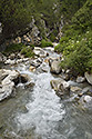 Bon ptok - hlavn odkaz