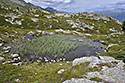 Na horch - hlavn odkaz