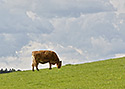 Pohoda - hlavn odkaz