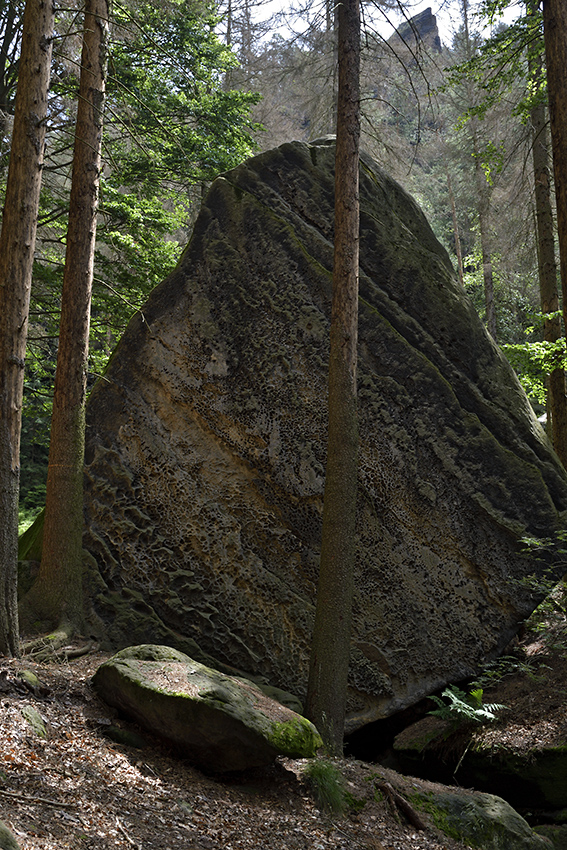 Ve skalch - vt formt