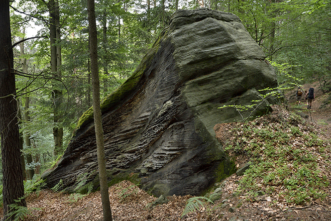 Ve skalch - men formt