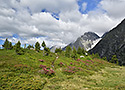 Nad Obersee - hlavn odkaz