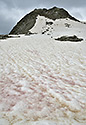 asy - hlavn odkaz
