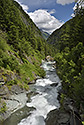 Vasrflky - hlavn odkaz