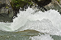 Ckance - hlavn odkaz