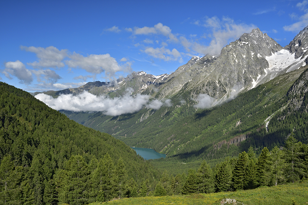 dol Antholz - vt formt
