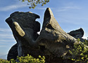 Na skalch - hlavn odkaz