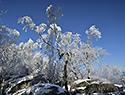 Na vyhldce - hlavn odkaz