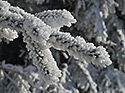 Kehk krsa - hlavn odkaz