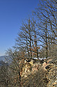 Na Parapleti - hlavn odkaz