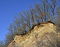 Na Parapleti - hlavn odkaz