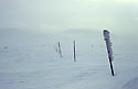 Vichice - hlavn odkaz