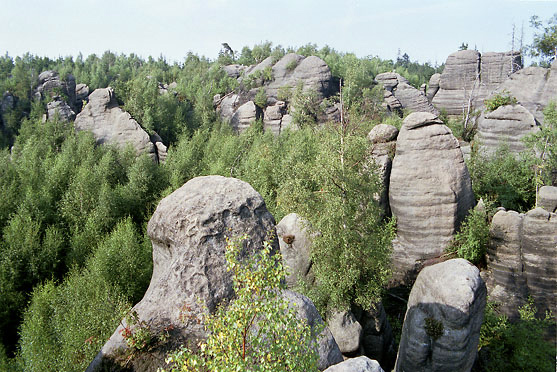 Nad Pnovou cestou - men formt