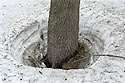 Tn - hlavn odkaz