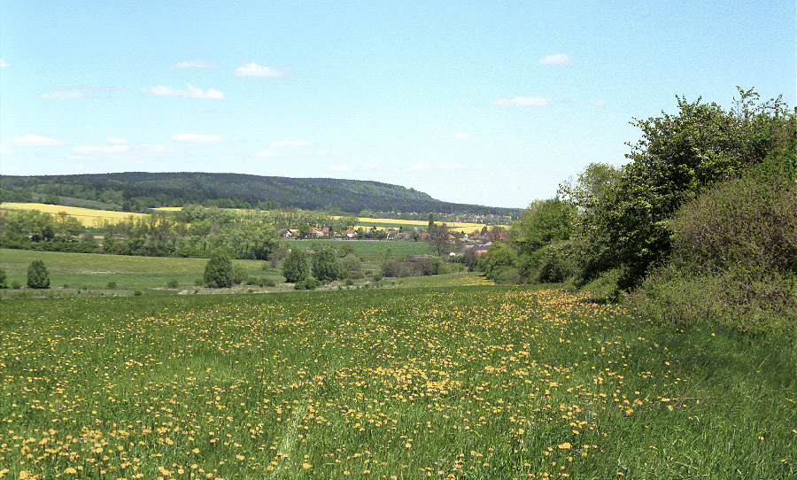 Kytn od zpadu - vt formt