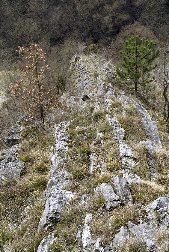 Skaln hebnek - vt formt