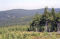 Sedloovsk vrch - hlavn odkaz