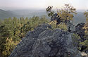 Na Vran skle - hlavn odkaz