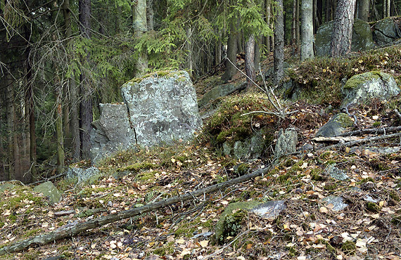V lese - men formt