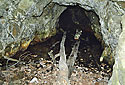 Dra - hlavn odkaz
