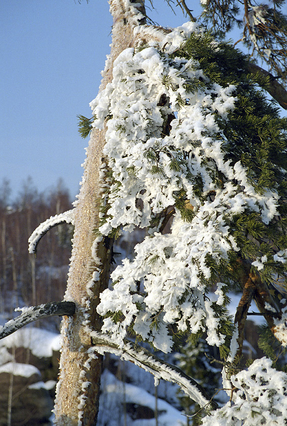 Krajky - vt formt