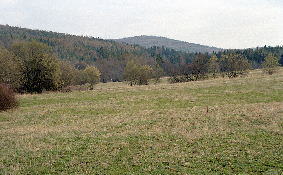 Beranec od Komrova - vt formt