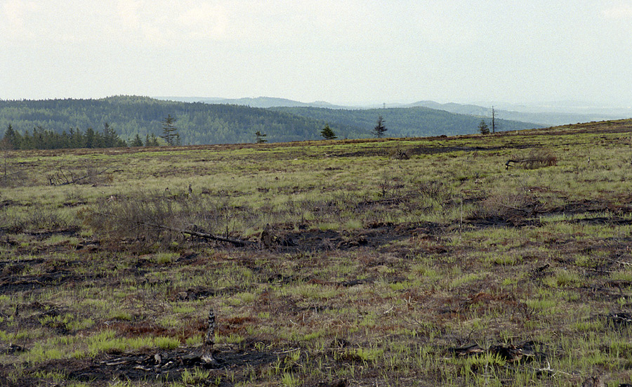 Splen dopadovka - vt formt