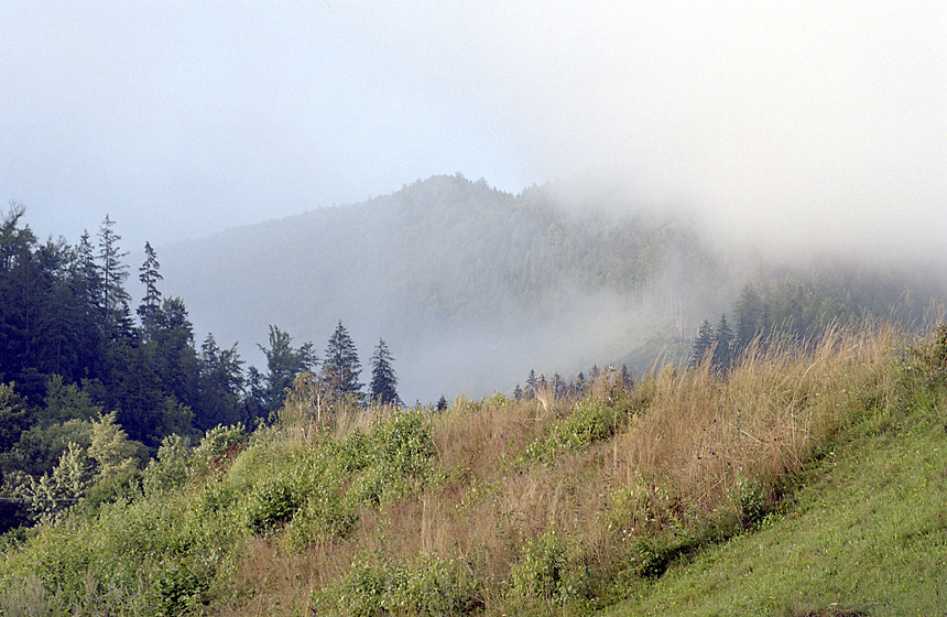 Mlha nad elnem - vt formt