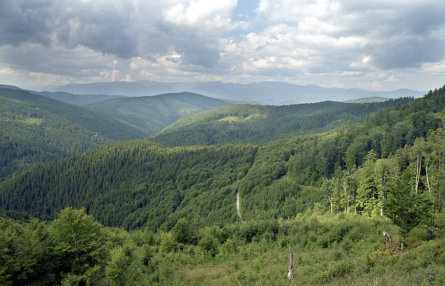 Pohled na sever - vt formt