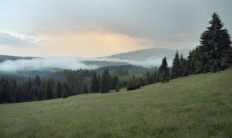 Soumrak nad Polanou - vt formt