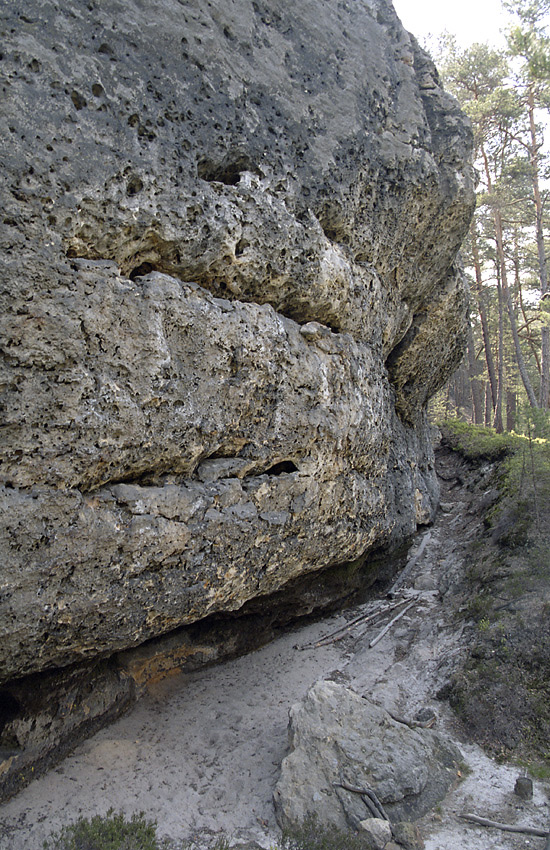 Ve skalch pod Husou - vt formt