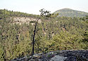 Ve skalch pod Husou - hlavn odkaz