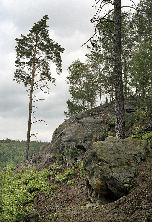 Na Panenskm hebenu - vt formt