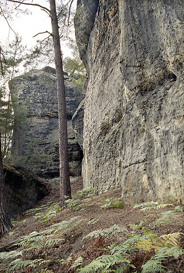 Ve skalch Rae - men formt