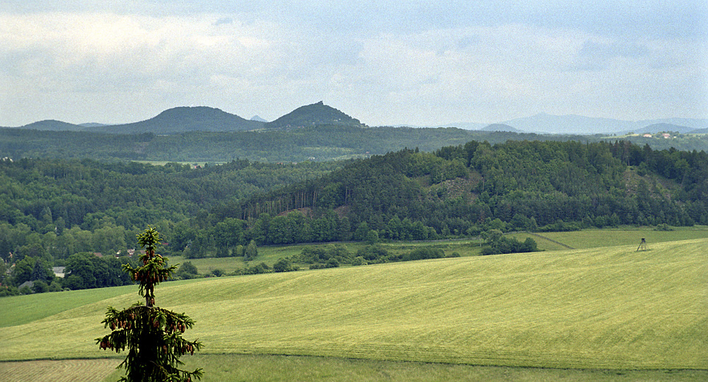 Bertejn - vt formt