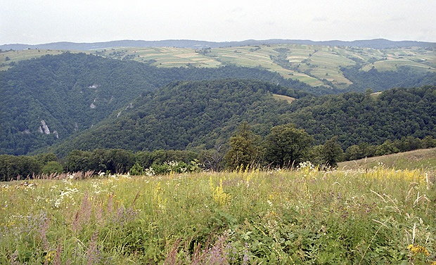 Planiny kolem Gernku - men formt