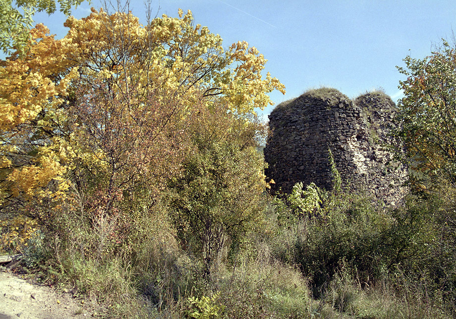 V - vt formt