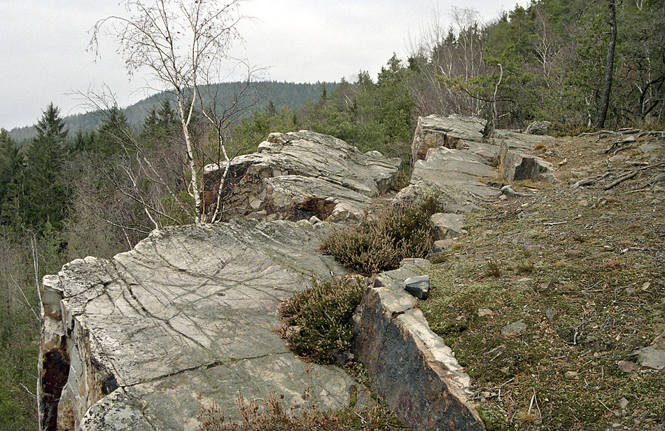 Ve skalch Pleivce - vt formt