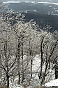 Krajky - hlavn odkaz