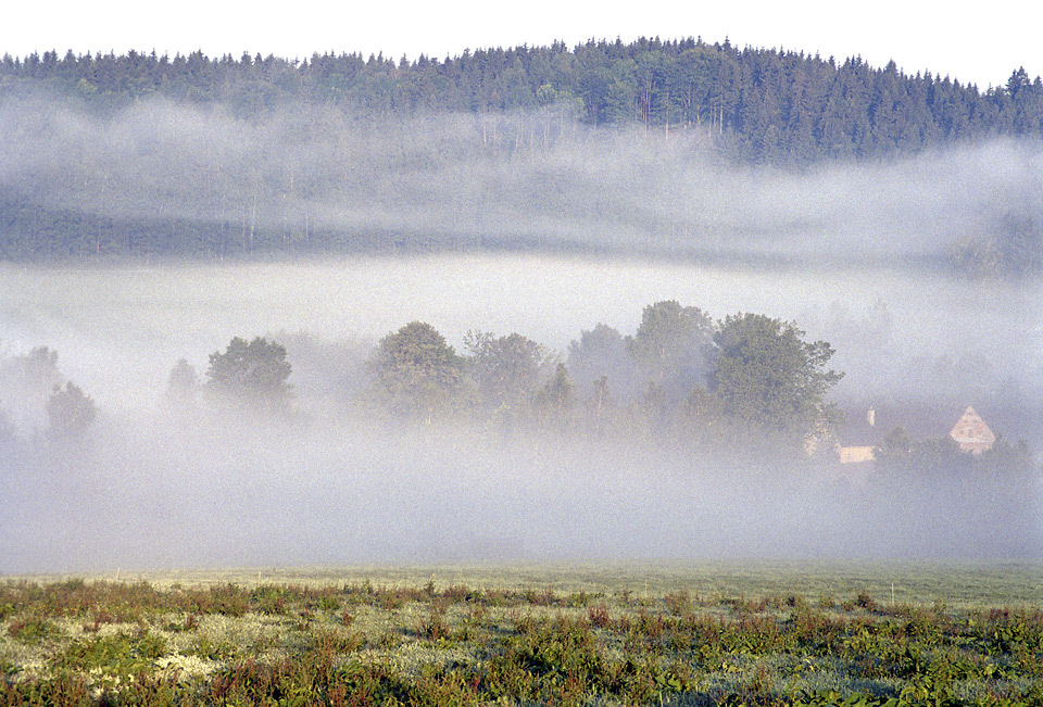 Mlha nad Hlavovem - vt formt