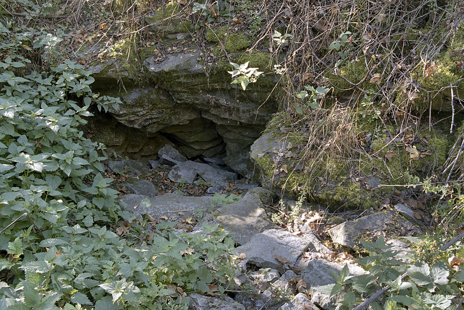 Ventarola - vt formt